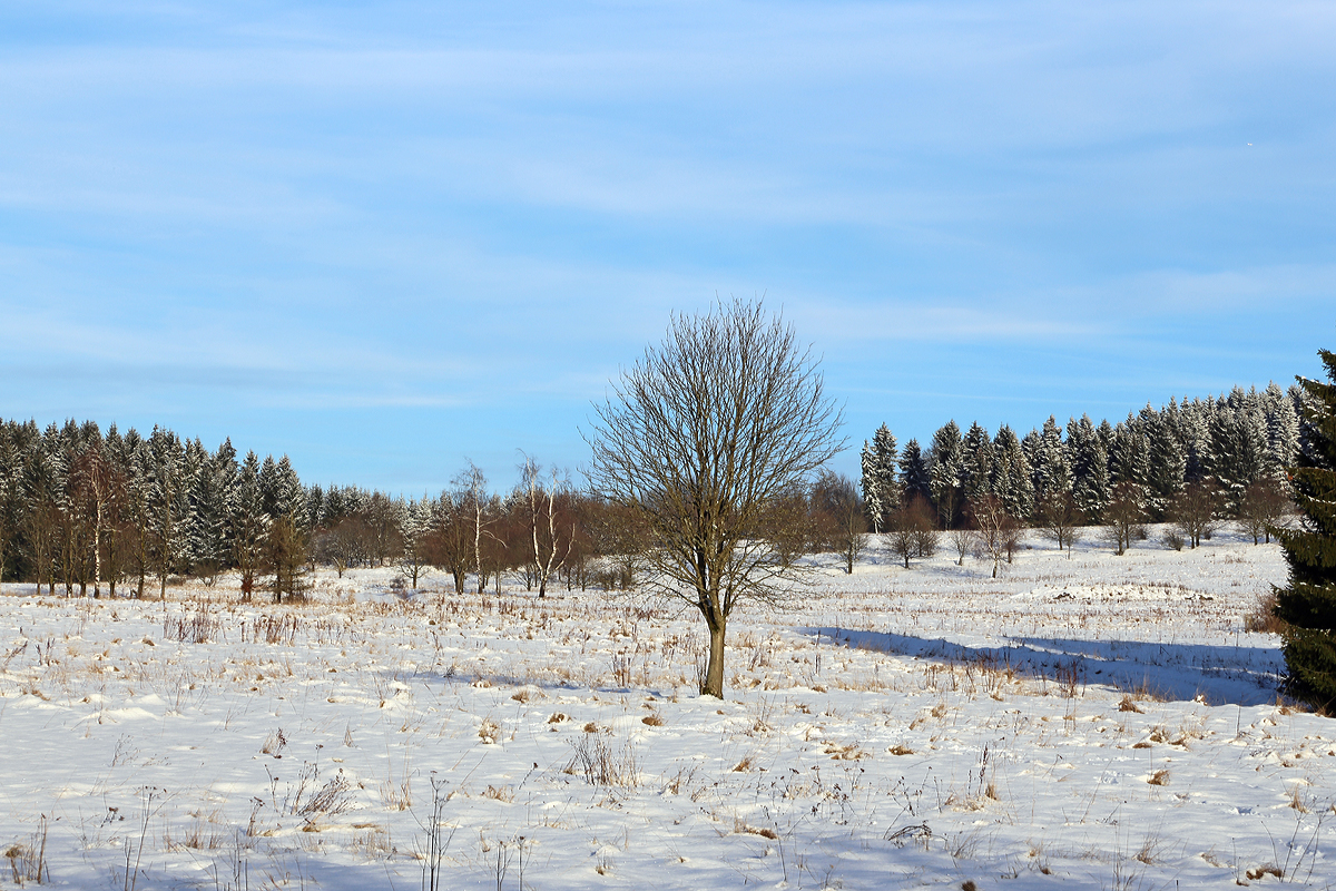 
Winterlandschaft bei Nisterberg (Westerwald) am 05.01.2015.
In den tieferen Lagen ist der Schnee verschwunden, aber hier auf ca. 527 m.ü.M. sieht es doch anders aus.
