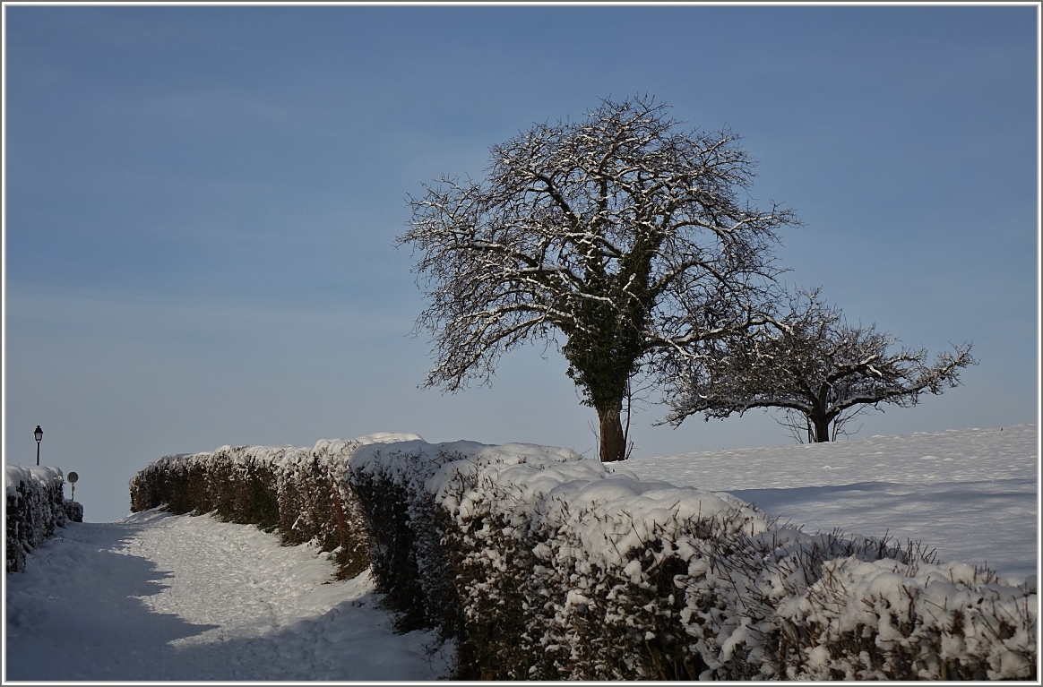 Winterstimmung Dezember 2014