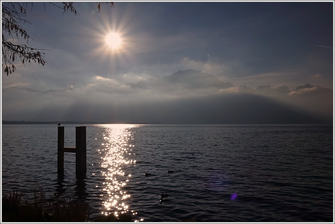 Winterstimmung im Dezember am Genfersee.
(10.12.2015)