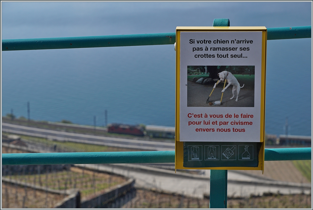 Ziemlich klar, wer da für Sauberkeit zuständig ist...

Lavaux, 19.4.2021