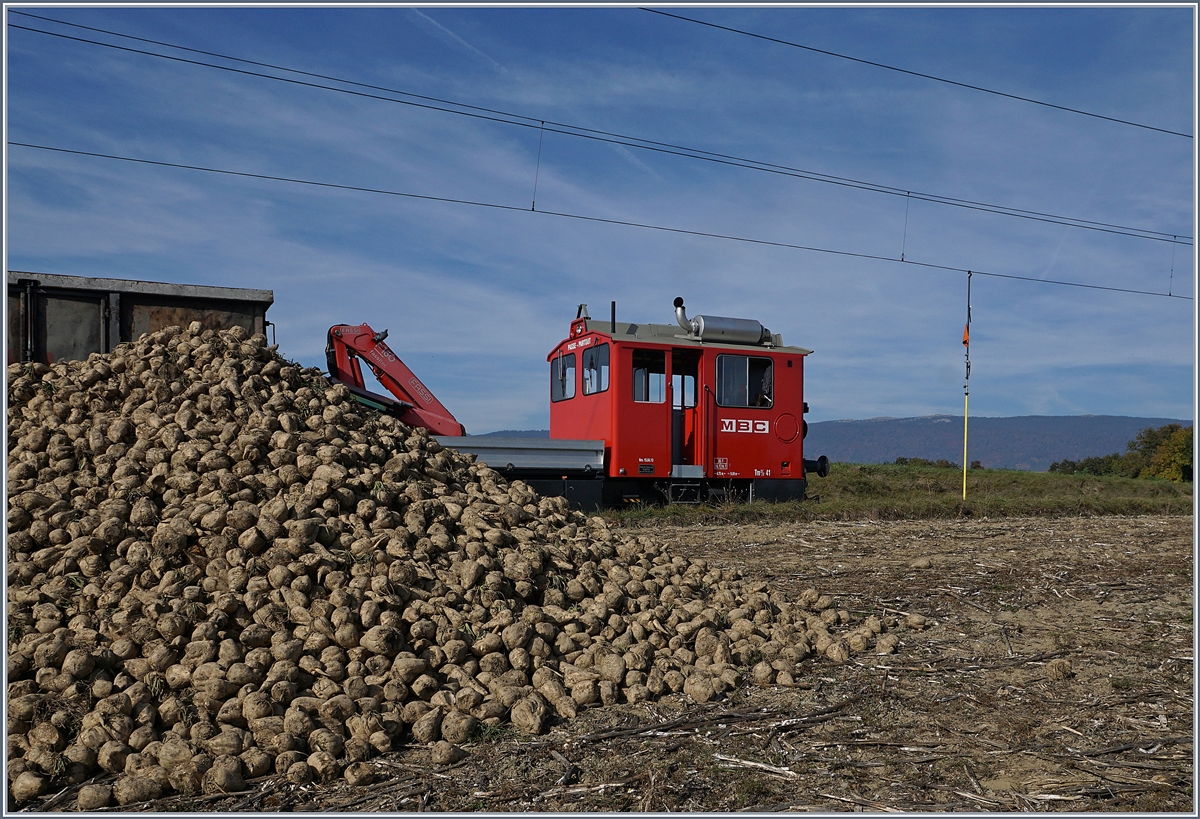 Zuckerrbenverlad bei der BAM, wie blich auf der freien Strecke, aber leider dieses Jahr zum letzen Mal. BAM Tm 41 mit Eaos vor einem Rbenberg bei Reverolle.
17. Okt. 2017