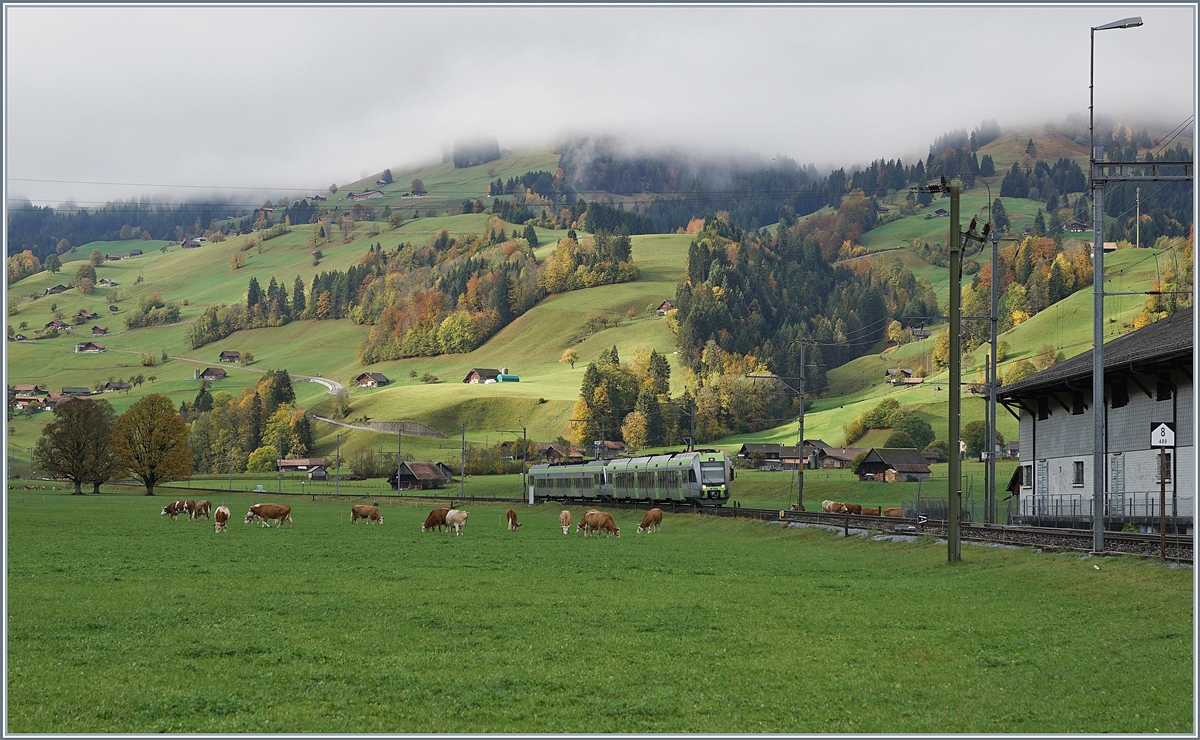 Zwei BLS Lötschberger RABe 535, unterwegs von Zweisimmen nach Spiez erreichen Boltigen. 

22. Okt. 2019