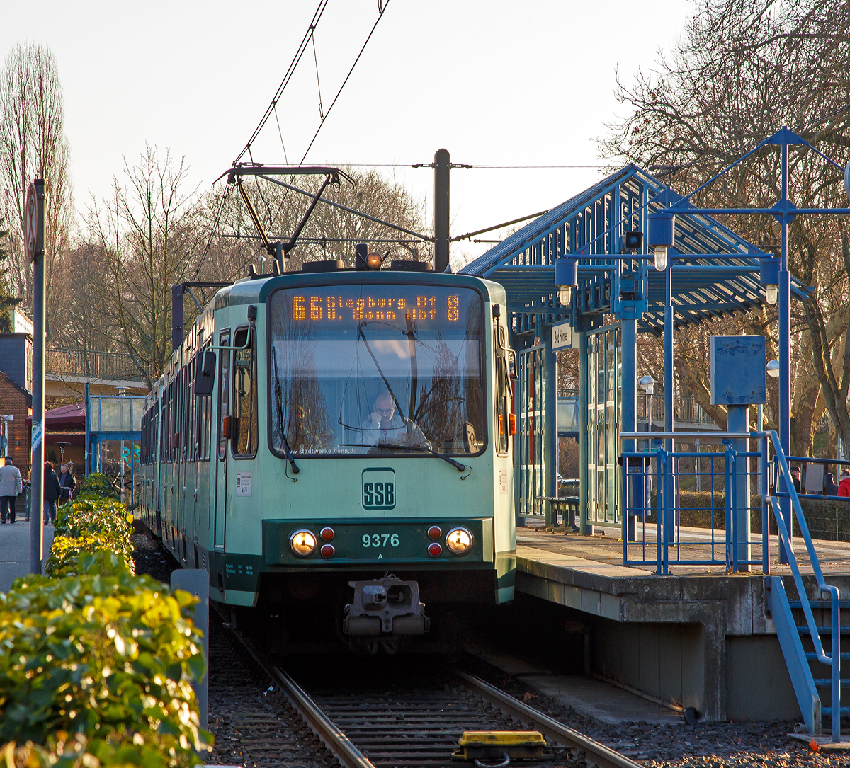 
Zwei gekuppelte Triebwagen 9376 und 9364 der SSB (Elektrische Bahnen der Stadt Bonn und des Rhein-Sieg-Kreises) stehen am20.01.2019 in der Station Bad Honnef, als Linie 66 nach Siegburg Bf über Bonn Hbf (Telekom Express) zur Abfahrt bereit.

Bei den Gelenk-Fahrzeugen handelt es sich um Stadtbahnwagen Typ B der dritten Generation (fünfte Serie) von der Düsseldorfer Waggonfabrik DUEWAG, mit Typbezeichnung DUEWAG B100C /6. Die Typbezeichnung bedeutet B-Wagen; Höchstgeschwindigkeit 100 km/h; Gleichstrommotor mit Chopper-Steuerung; Sechsachser

TECHNISCHE DATEN:
Baujahr: 1993
Spurweite: 1.435 mm
Bauart: 6xGlTwZR
Achsfolge: Bo'+1'1'+Bo'
Gesamtlänge: 28.000 mm
Wagenkastenbreite : 2.650 mm
Eigengewicht: 39.400 kg
Dienstgewicht: 56.885 kg
Leistung: 2 x 235 kW = 470 kW
Höchstgeschwindigkeit: 100 km/h
Netzspannung: 750 V DC Oberleitung
Niederfluranteil: 0 %
Sitzplätze: 72
Stehplätze: 111(4 Pers/m²)
Fußbodenhöhe: 1.000 mm

Wer heute mit der Bonner Stadtbahnlinie 66, dem  Telekom-Express , zwischen Bad Honnef, Bonn und Siegburg unterwegs ist, wird kaum noch wissen, dass es sich um eine ehemalige elektrische Kleinbahn handelt, die mit dem ellenlangen Namen  Elektrische Bahnen der Kreise Bonn-Stadt, Bonn-Land und des Siegkreises SSB  unter Beteiligung der genannten Gebietskörperschaften gegründet wurde, um sowohl den Siebengebirgsraum als auch die Kreisstadt Siegburg mit Bonn zu verbinden. Die Abkürzung  SSB  bedeutet übrigens  Siegburger und Siebengebirgsbahn . Die gesamte Betriebsführung obliegt seit 2004 jedoch der SWB Bus und Bahn (Tochter der Bonner Stadtwerke).