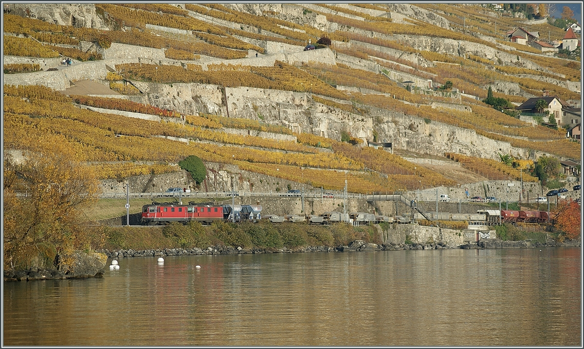 Zwei Re 4/4 II mit einem Güerzug bei Rivaz.
4. Nov. 2014