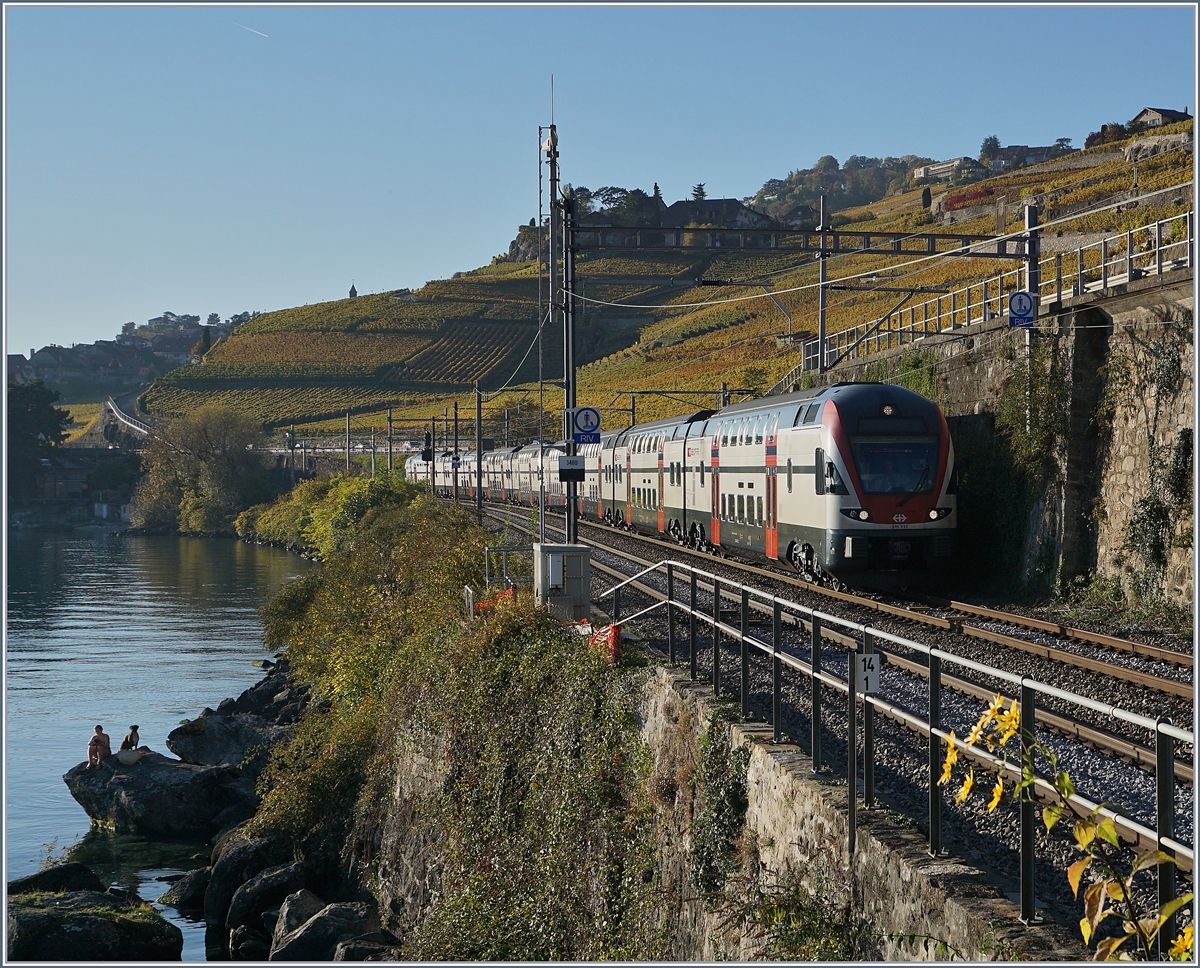 Zwei SBB KISS RABe 511 nach Vevey zwischen Rivaz und St-Saphorin.

25. Jan. 2019