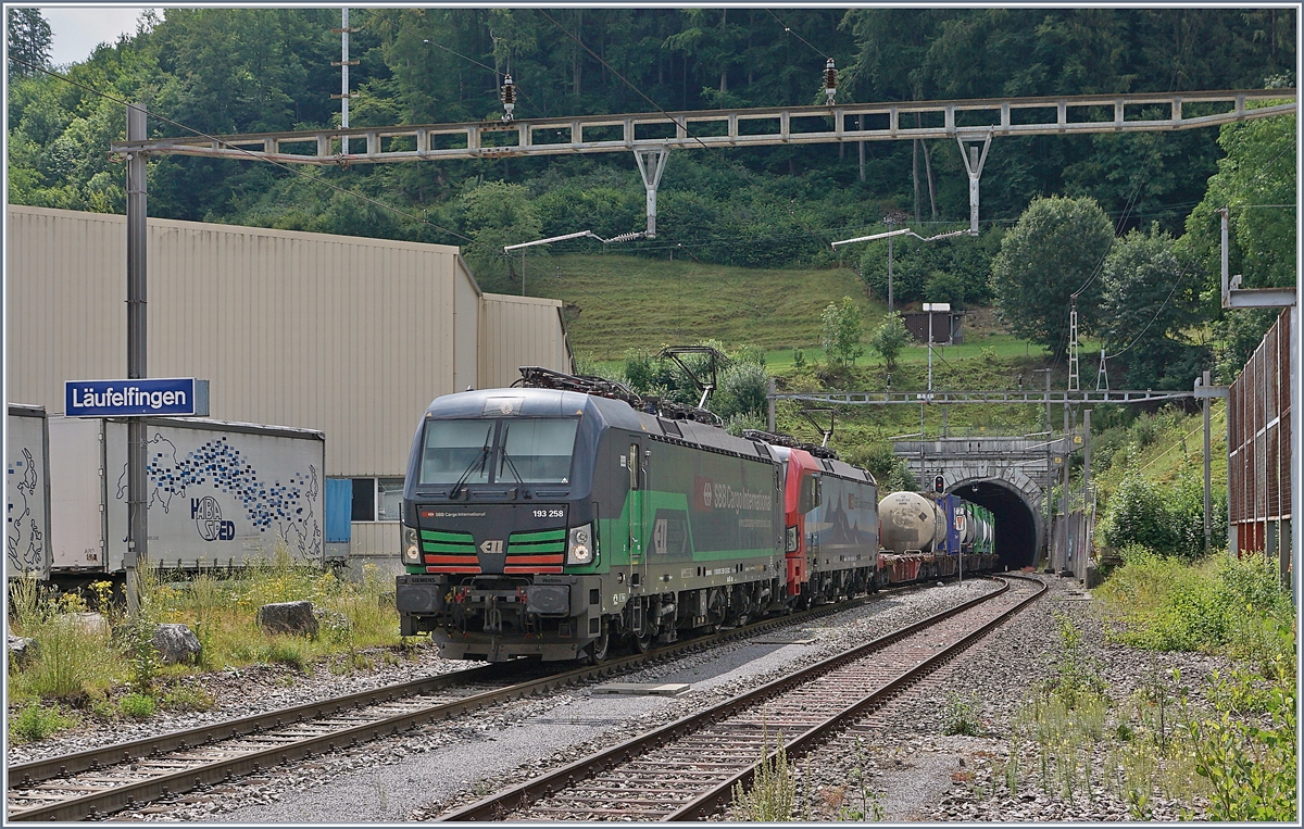 Zwei Vectron der Br 193 verlassen bei Luffelfingen den alten Hauenstein Tunnel.

Die Strecke via Luffelfingen wurde 1916 durch eine  NBS  abgelst, seither verkehren hier nur noch Lokalzge oder wie hier zu sehen Umleitungszge. 

11. Juli 2018