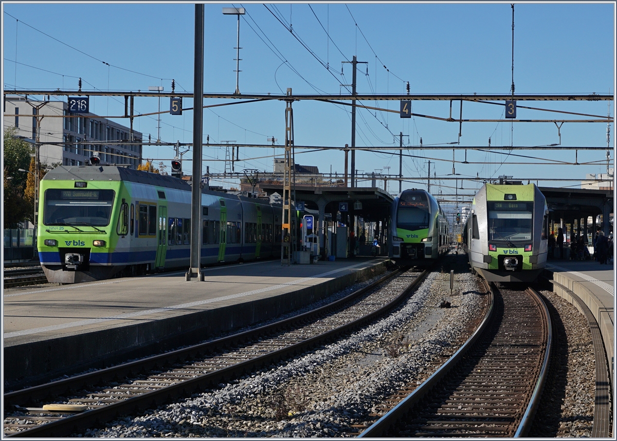 Zwischen  Ninas  und  Lötschberger  findet sich etwas zurückversetzt noch ein  Mutz ; BLS Triebzüge RABe 527, RABe 515 und RABe 535 in Thun.
29. Okt. 2016