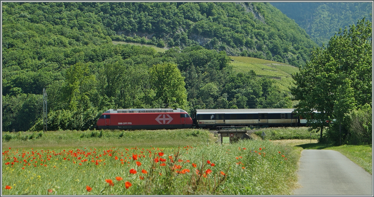 Zwischen Yvoire und Roche VD konnte ich die Zuglok und den ex SNCF D des IR 1822 Brig Genève Aéroport fotografieren. 
27. Mai 2015