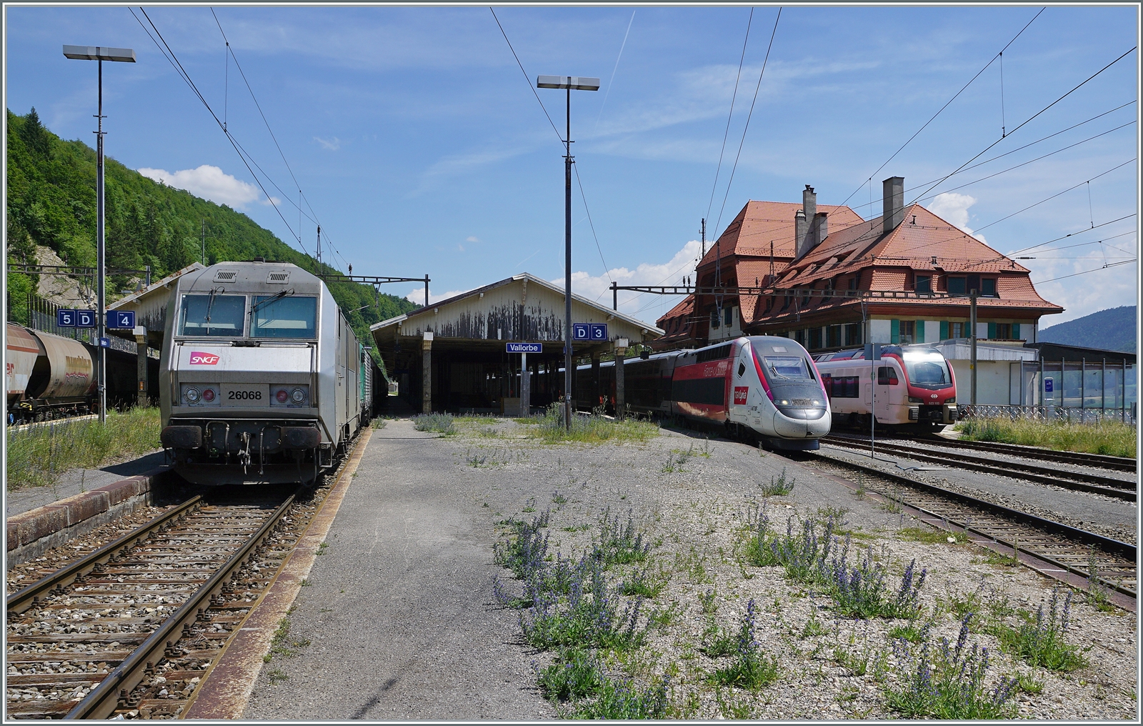 Auch die Zuglok des Gegenzuges, die SNCF BB 26068 setzt sich an die Spitze des nach Frankreich fahrenden Güterzuges. Recht im Bild ein TGV Lyria nach Paris Gare de Lyon und der  SBB RABe 523 103 nach Aigle. 

Ein schönes Bild der Betriebsamkeit, doch meistens ist es in Vallorbe eher ruhig, wenn nicht sogar sehr ruhig...

16. Juni 2022
