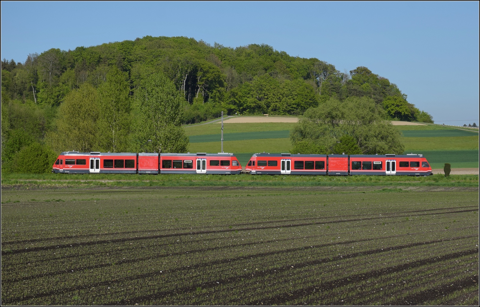 Auf der Biel-Täuffelen-Ins Bahn.

GTW Be 2/6 505 und GTW Be 2/6 503 der ASm bei Büttelen. April 2022.