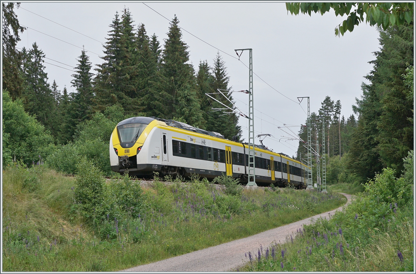 Bei Aha ist der DB 1440 679/179 Coradia Continental 2  Grinsekatze  auf dem Weg nach Freiburg im Breisgau.

22. Juni 2023