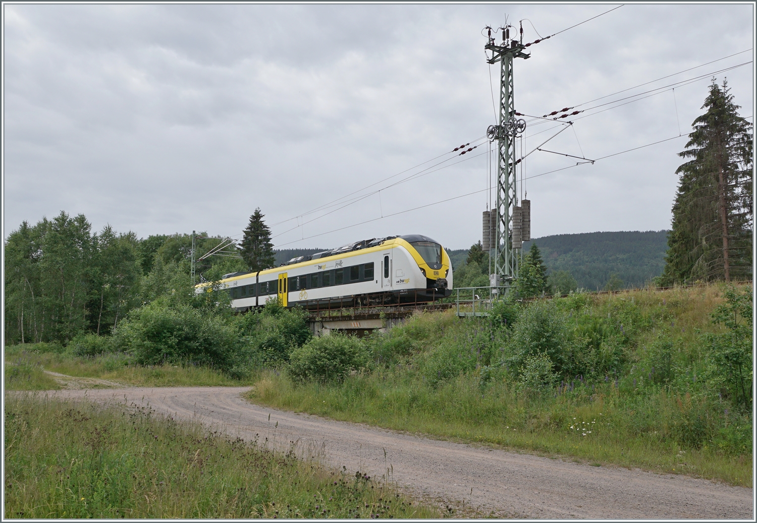 Bei Aha ist der DB 1440 679/179 Coradia Continental 2  Grinsekatze  auf dem Weg nach Freiburg im Breisgau. 

22. Juni 2023