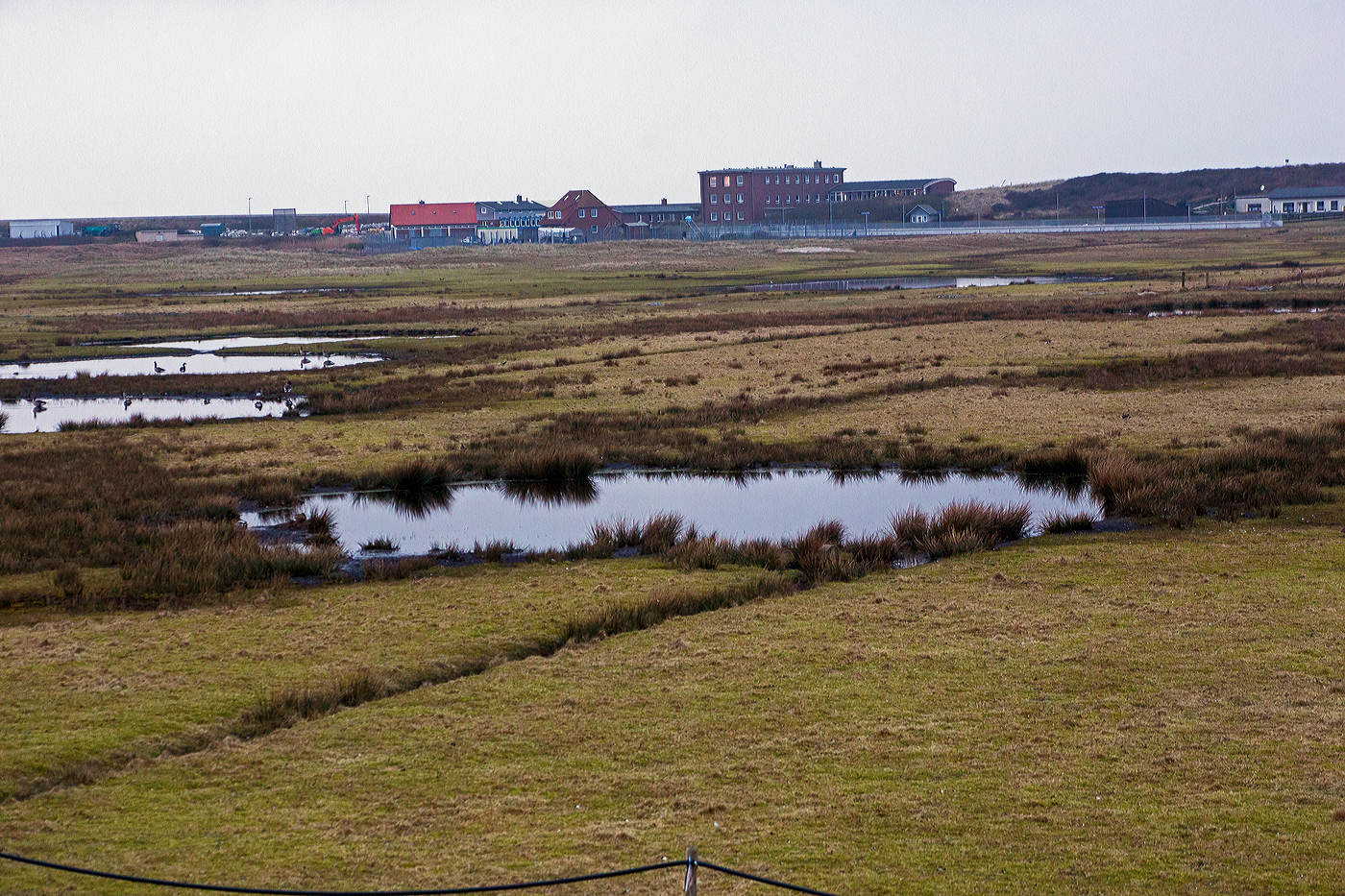 Blick zum Bahnhof Wangerooge Westen (hinten rechts) am späten Nachmittag des 12 März 2024.

Bei Bedarf werden Fahrten über Saline zum Bahnhof Westen durchgeführt, die seit Juni 2010 auch für den öffentlichen Verkehr freigegeben sind und meist der Anbindung der dortigen Schullandheime dienen. Damit ist die Bahnverbindung auf Wangerooge die einzige deutsche Inselbahn mit Zweigstrecke. Die Strecke geht vom Bahnhof (nach links) weiter bis Anschlussgleis zum Bauhof des Wasser- und Schifffahrtsamtes.

Vorne in den Wiesen die vielen runden Wassertümpel (Biotope) sind eigentlich Bombentrichter aus dem Zweiten Weltkrieg. Während des Zweiten Weltkrieges war Wangerooge von hoher strategischer Bedeutung, da die Insel im Mündungsbereich der Weser und in der Nähe der damals kriegswichtigen Stadt Wilhelmshaven liegt. Am 25. April 1945 kam es zu einem schweren Luftangriff auf Wangerooge mit erheblichen Bombardierungen. In nur etwa fünfzehn Minuten fielen in drei Angriffswellen über 6.000 Sprengbomben (227 kg und 454 kg Bomben), die eine Kraterlandschaft hinterließen. Dabei wurden auch die Strecke zwischen Saline und Dorf, die Bahnhofshalle sowie zahlreiche Personen- und Güterwagen zerstört.
