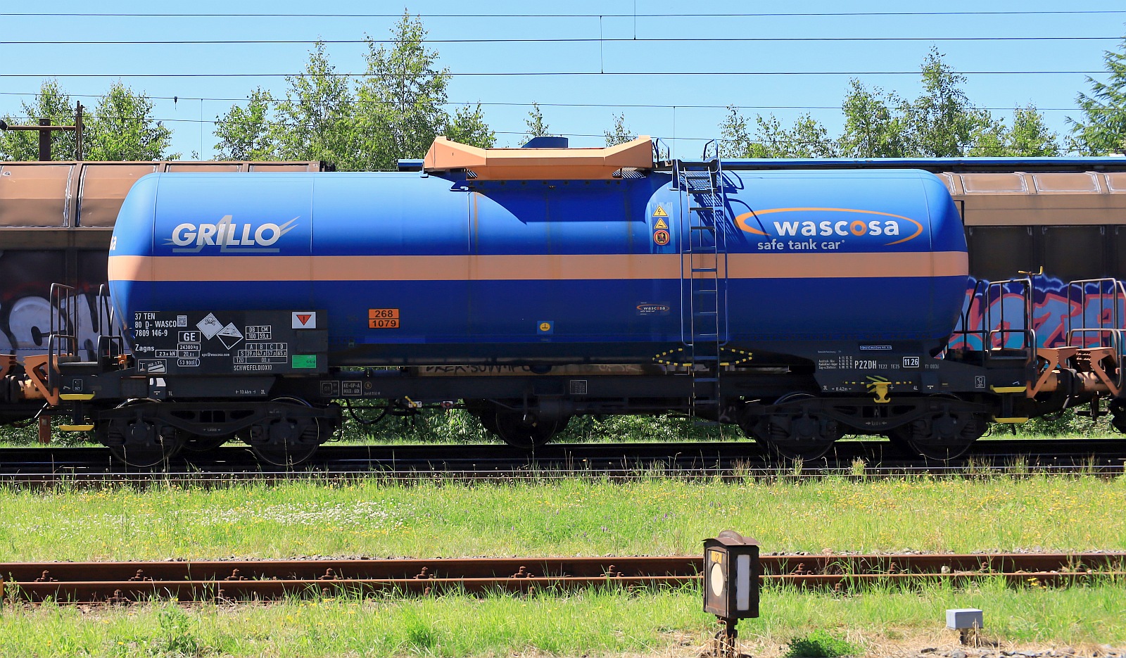 D-WASCO 37 80 7809 146-9 Gattung Zagns, Volumen 53900l beladen mit 268/1079 SCHWEFELDIOXID Pattburg/DK 25.06.2024