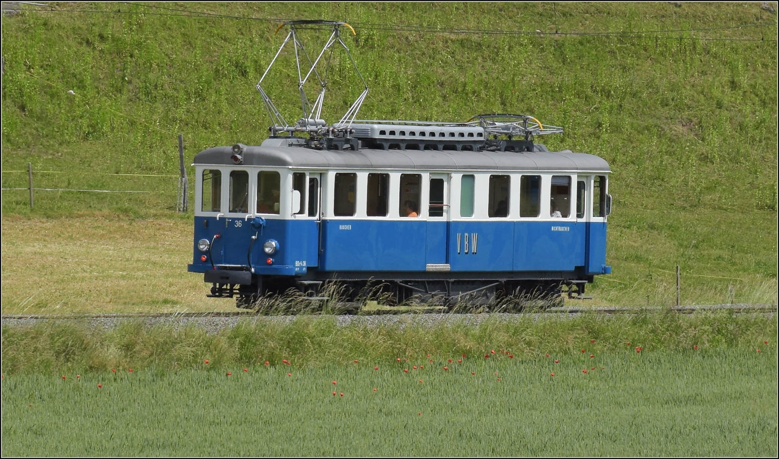Das Blaue Bähnli VBW BDe 4/4 36 auf der falschen Strecke nach Worb. Sinneringen, Juni 2023.