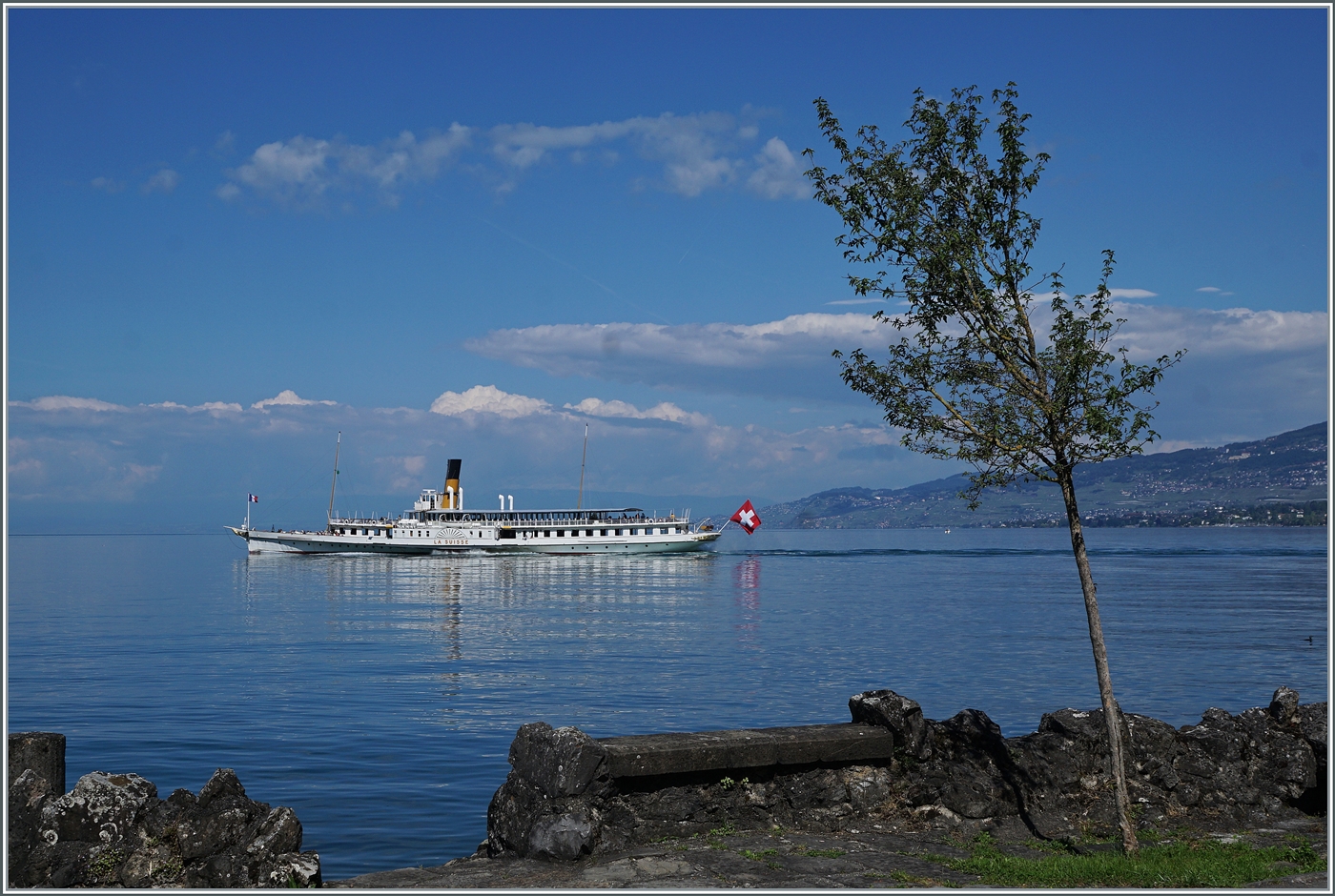 Das CGN Kursschiff  LA SUISSE  auf dem Weg nach Villeneuve. Der Blick gleitetweit über den See westwärts, bis ins Lavaux.

5. Juni 2024