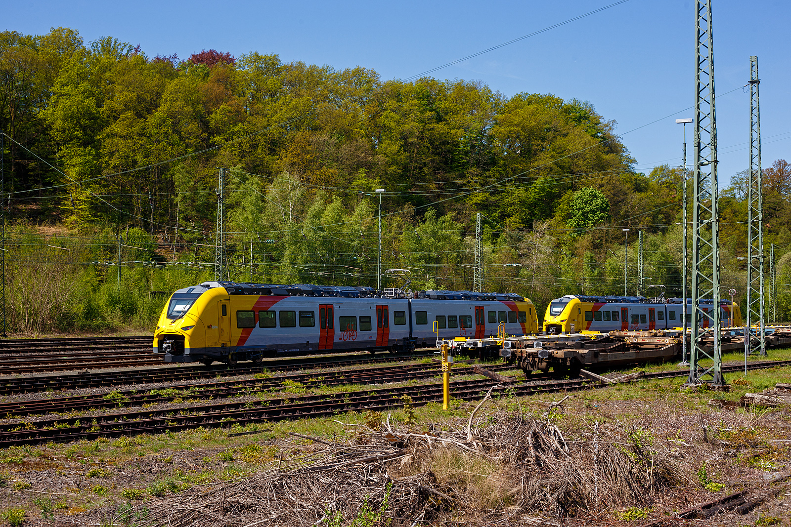 Das ist der neue Klimaschutz am Westerwald....
Zwei der drei neuen zweiteiligen Hybridtriebzüge (E/Akku) der BR 563 vom Typ SIEMENS Mireo Plus B der HLB (Hessische Landesbahn GmbH) sind am 30 April 2025 in Betzdorf/Sieg abgestellt. Links der 563 801/563 901 (94 80 0563 801-0 D-HEB / 94 80 0563 901-8 D-HEB) und rechts daneben der 563 803/563 903 (94 80 0563 803-6 D-HEB / 94 80 0563 903-4 D-HEB)

Die beiden zweiteiligen SIEMENS Mireo Plus B wurden 2024 von SIEMENS in Krefeld gebaut. 

Auszug aus der Pressemitteilung der HLB:
Alternative Antriebe im Norden von Rheinland-Pfalz: Durchbruch beim Pilotprojekt mit Batteriezügen im Westerwald / Zuschlag an Siemens Mobility für Mireo Plus B Fahrzeuge

Als Aufgabenträger für den Nahverkehr auf der Schiene im Norden von Rheinland-Pfalz setzt sich der SPNV-Nord gemeinsam mit seinen Projektpartnern von Bund, Land und Eisenbahnverkehrsunternehmen (EVU) für den Einsatz von alternativen Antrieben als Abkehr vom Dieselbetrieb ein.

Dabei konnte bereits im letzten Jahr für die Beschaffung der Fahrzeuge eine Unterstützung aus dem Förderprogramm des Bundesministeriums für Digitales und Verkehr (BMDV) für alternative Antriebe gewonnen werden.

Als Besonderheit sollen im SPNV-Nord erstmalig die beiden Antriebstechnologien für die Dekarbonisierung des Schienenverkehrs, Wasserstoff und Batterieelektrik, nebeneinander im mehrjährigen Fahrgastbetrieb zum Einsatz kommen mit einer vollständigen Rückfallebene mit Dieselfahrzeugen.

Das betrifft auch den Pilotbetrieb mit drei batterie-elektrischen Fahrzeugen im Westerwald, der zum Fahrplanwechsel im Dezember 2025 geplant ist. Dieser sieht einen Fahrzeugeinsatz auf der RB 90 Limburg – Au – Siegen (Oberwesterwaldbahn und Siegstrecke) und auf der RB 29 Limburg – Siershahn (Unterwesterwaldbahn) durch die Hessische Landesbahn (HLB) vor. Bei diesem Pilotprojekt wurde jüngst ein wichtiger Durchbruch erzielt:

Als Ergebnis der von der HLB dafür durchgeführten Fahrzeugausschreibung hat Siemens Mobility jetzt den Zuschlag für drei zweiteilige Mireo Plus B Batteriezüge erhalten. Das Fahrzeug mit seiner hohen Antriebsleistung ist für den anspruchsvollen Einsatz im Westerwald bestens geeignet. Der geplante Einsatz der drei Batteriezüge auf den Linien RB 90 und RB 29 umfasst eine Jahresfahrleistung von fast 400.000 Zug-km und ersetzt drei Dieselfahrzeuge. Da die HLB emissionsfreien Bahnstrom bezieht, werden jährlich fast 1.150 Tonnen CO2 eingespart. Der Betrieb der Batteriefahrzeuge erfordert keine neue Infrastruktur, denn die Wendezeiten in Limburg von über 20 Minuten auf der RB 29 werden für die Aufladung der Fahrzeuge ausreichend sein. Bei den auf der RB 90 verkehrenden Batteriefahrzeugen erfolgt dies im elektrifizierten Abschnitt zwischen Au und Siegen. Die Oberwesterwaldbahn (Limburg – Au) ist mit der Länge von rund 75 km und der zu überwindende Höhe von ca. 350 m derzeit in Deutschland die anspruchsvollste Strecke für den vorgesehenen Einsatz von Batteriezügen.

Die Ausschreibung der Batteriefahrzeuge war so ausgestaltet, dass die Hersteller die Möglichkeit hatten, die Fahrzeuge in laufende Bestellungen zu integrieren, so dass eine schnelle Lieferzeit in Aussicht gestellt wurde.

Siemens Mobility baut für den Einsatz im Westerwald drei zweiteilige Mireo Plus B Batteriezüge, die durch jeweils drei Türen pro Seite einen schnellen Ein- und Ausstieg ermöglichen. Die Züge verfügen für den Betrieb unter Oberleitung und zum Aufladen der Batterien über einen Stromabnehmer und verkehren auf den nicht-elektrifizierten Strecken im Batteriebetrieb. Die geräumigen Fahrzeuge bieten den Fahrgästen 126 Sitzplätze und 156 Stehplätze und sind mit einer speziellen Einstiegshilfe ausgestattet, die mobilitätseingeschränkten Menschen das Bahnfahren erleichtert.

Die neuen Batteriezüge werden auf der Oberwesterwaldbahn Limburg – Altenkirchen - Au - Siegen, und auf der Unterwesterwaldbahn zwischen Limburg – Montabaur – Siershahn unterwegs sein. Die Strecke der OWB beträgt ca. 115 km, davon sind ca. 75 km ohne Fahrdraht. Es ist vorgesehen die Züge in Limburg und auf dem Teilabschnitt Au – Siegen nachzuladen. Auf der UWB beträgt die nicht elektrifizierte Strecke ca. 35 km. Damit ist ein Zugbetrieb hin und zurück ohne Nachladen möglich. Insgesamt werden die Züge über 50 Bahnhöfe anfahren.

TECHNISCHE DATEN:
Spurweite: 1.435 mm
Achsfolge: Bo’-2’-Bo’
Fahrzeuglänge über Kupplung: 46.560 mm
Drehzapfenanstand: 2 x 17.930 mm
Anzahl der Türen je Seite: 3
Installierte Leistung: 1.700 kW
Leistungsübertragung: elektrisch
Motoren: 2 Drehstrom-Asynchronmotoren
Höchstgeschwindigkeit: 140 km/h 
Kupplung: Mittelpufferkupplung Schaku Typ 10
kleinster befahrbarer Gleisbogen: R 150 m (Normal) / R 100 m (Werkstatt)

Ein kleiner Nachteil gegenüber den LINT-Dieseltriebzügen ist mir aufgefallen, die Gesamt-Fensterfläche ist geringer. Ich bin aber sehr gespannt auf den Betriebseinsatz und wie es läuft.

