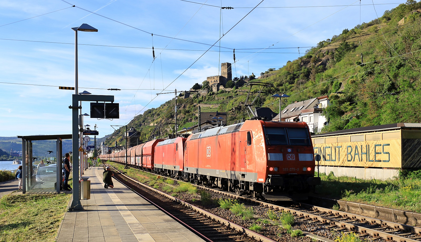 DB 185 075-9 + 016-3 mit Kohlezug gen Süden. Kaub am Rhein 14.09.2023