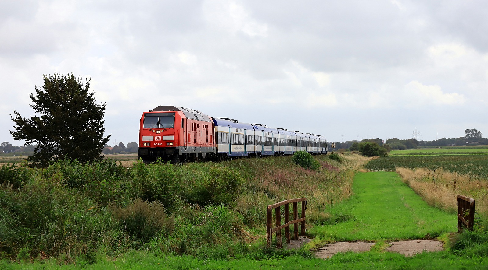 DB 245 004-7 REV/BCS X/22.04.22 mit RE6 nach Westerland jetzt aufgenommen am Bü Triangel. 13.08.2023