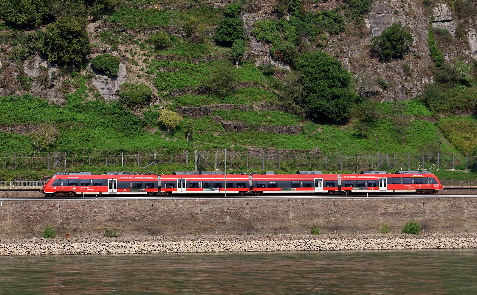 DB Regio Werdenfelsbahn 442 218/518  Bad Bayersoien  unterwegs Richtung Bingen. Kestert 14.08.2025 DB Regio Werdenfelsbahn 442 218/518  Bad Bayersoien  unterwegs Richtung Bingen. Kestert 14.08.2025