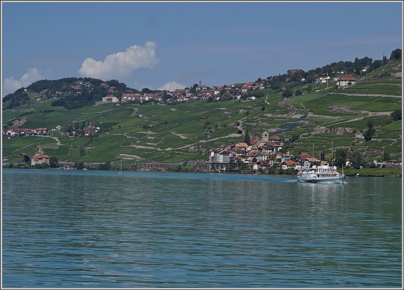 Der CGN Schaufelraddampfer VEVEY vor der Kulisse des Lavaux. 

2. August 2024