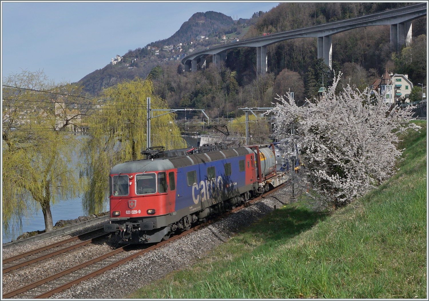 Der Frühling kommt...

...und die SBB Re 6(6 11629 (Re 620 029-9)  Interlaken , die mit einem Güterzug kurz vor Villenneuve auf dem Weg in Richtung Wallis ist.

21. März 2023