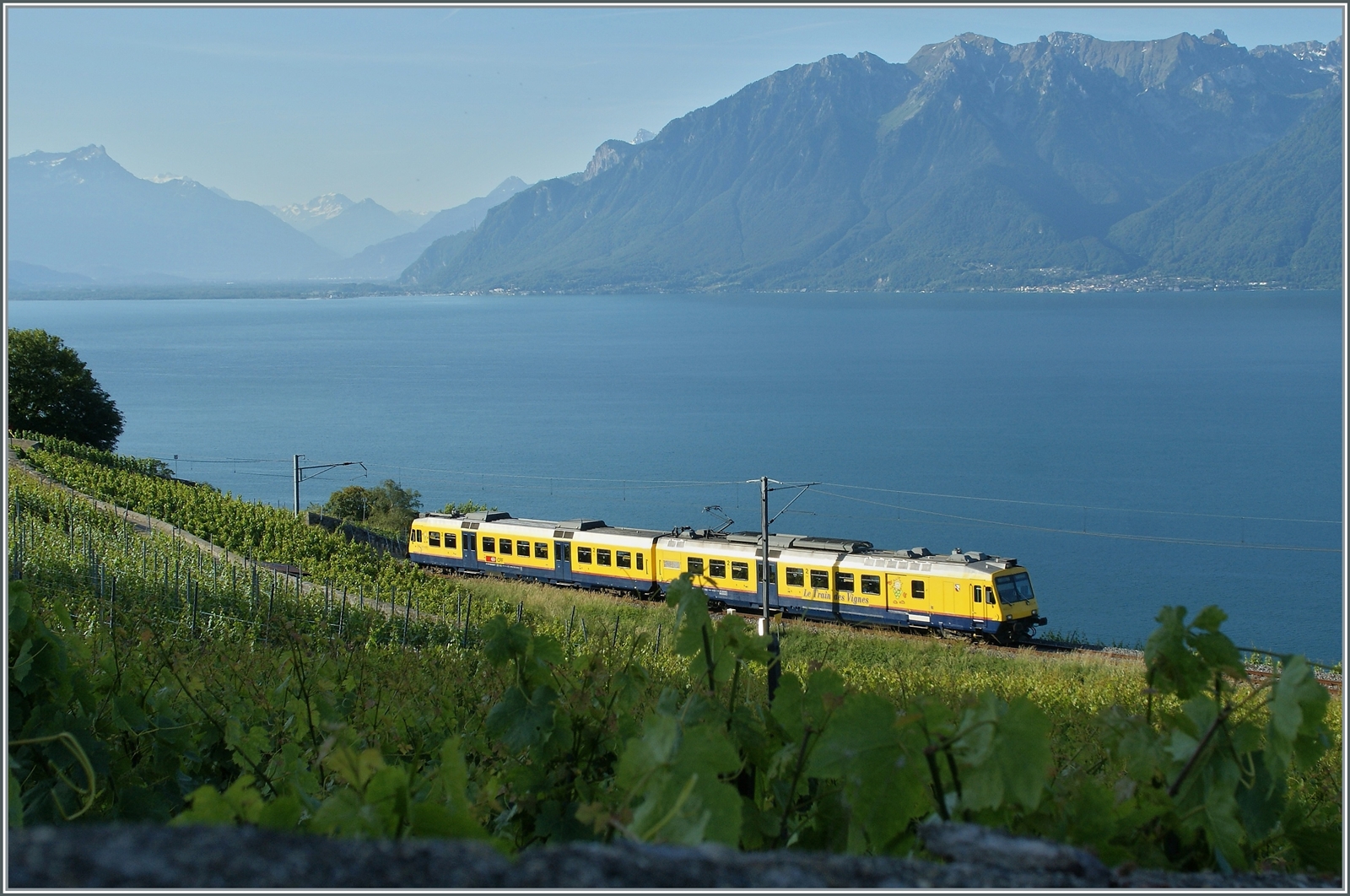 Der RBDe 560 131  Train de Vignes  ist auf seiner Strecke hoch über dem Genfersee unterwegs.

29. Mai 2011