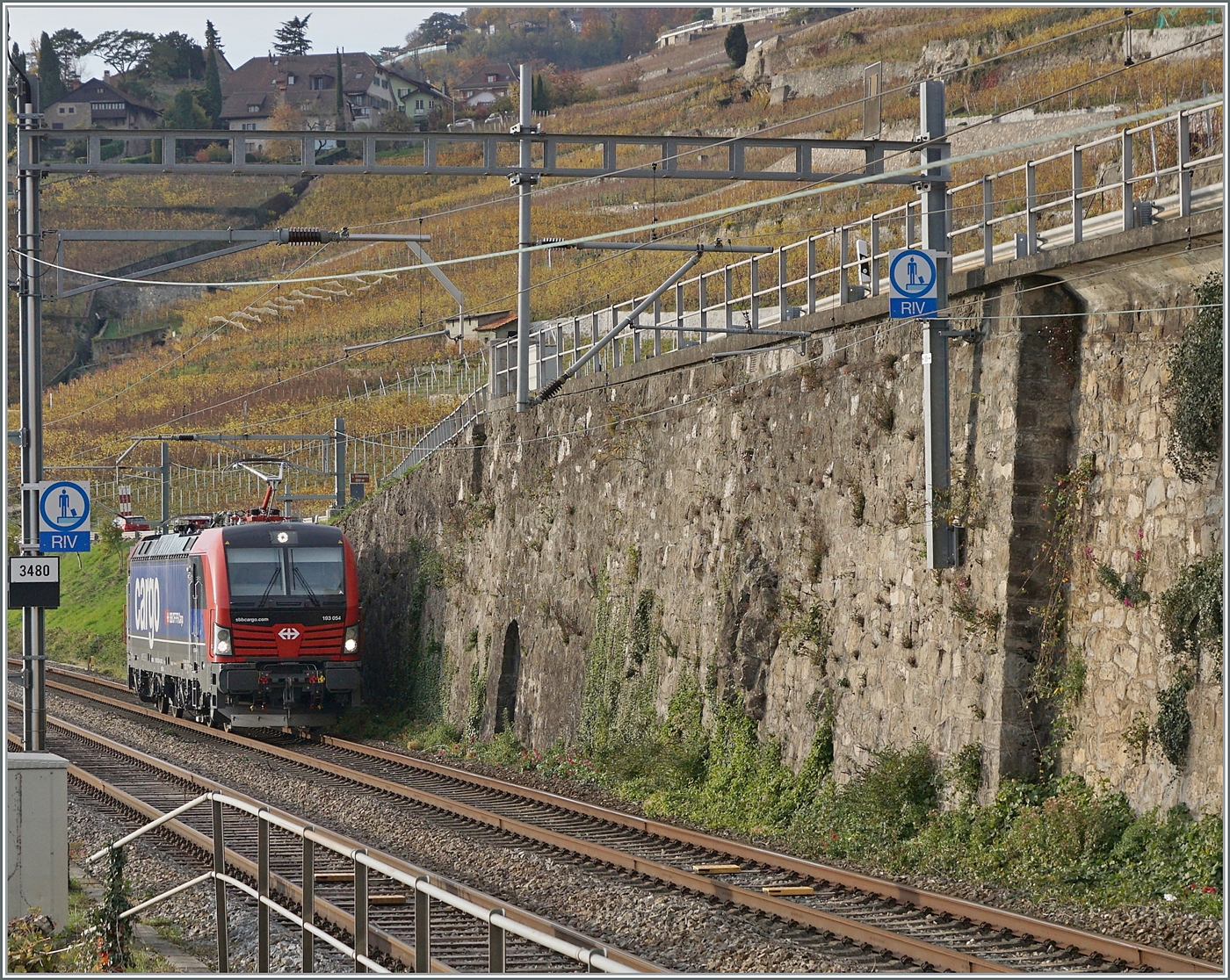 Die 193 054, vermietet an SBB Cargo, ist als Lokfahrt zwischen Rivaz und St-Saphorin auf dem Weg in Richtung Vevey. 

12. Nov. 2024