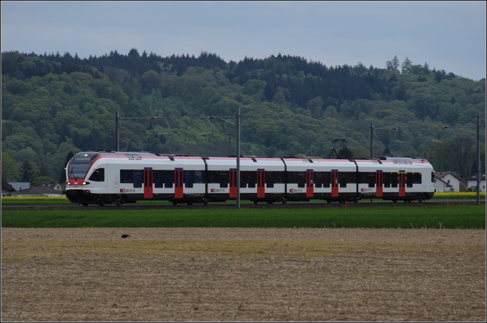 Die aargauische Südbahn ist ziemlich flirtdominiert, so soll RABe 523 038 bei zwischen Henschiken und Dintikon-Dottikon stellvertetend für den Abschluss stehen. April 2023.