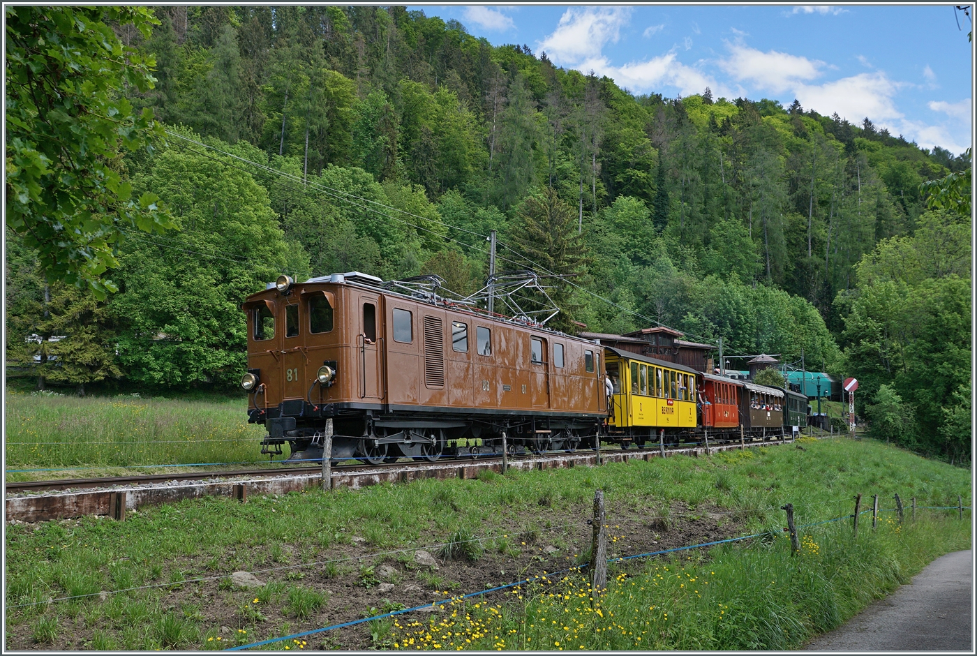 Die Bernina Bahn Ge 4/4 81der Blonay-Chamby Bahn ist bei Chaulin auf dem Weg in Richtung Blonay. 

19. Mai 2024