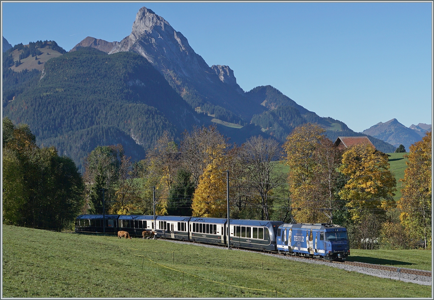 Die MOB Ge 4/4 8001 ist zwischen Schönried und Gruben mit dem MOB/BLS GoldenPass Express 4065 auf dem Weg von Interlaken Ost nach Montreux, wobei die Schmalspurlok den Zug im Umspurbahnhof Zweisimmen übernommen hat.

13. Okt. 2025