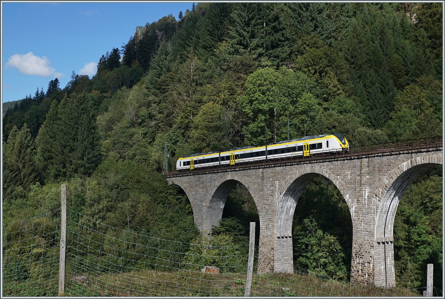 Ein dreiteiliger DB Alstom Coradia Continental 1440 ist auf dem Ravena Viadukt auf der Fahrt in Richtung Titisee. 

24. Sept. 2023