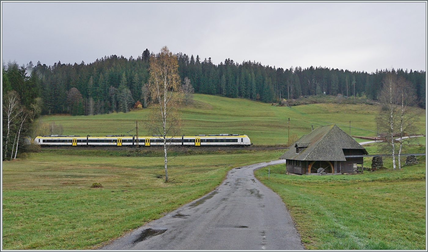 Eine weitere Variante der Jokelsmühle mit der Schwarzwaldbahn zwischen Hinterzarten und Tittisee. Während die oberschächtige Mühle perfekt ins Bild passt, muss man sich an die Grisekatzen (BR 440 - Coradia Continental 2) als  Schwarzwaldzüge  erst noch gewöhnen.

14. November 2022