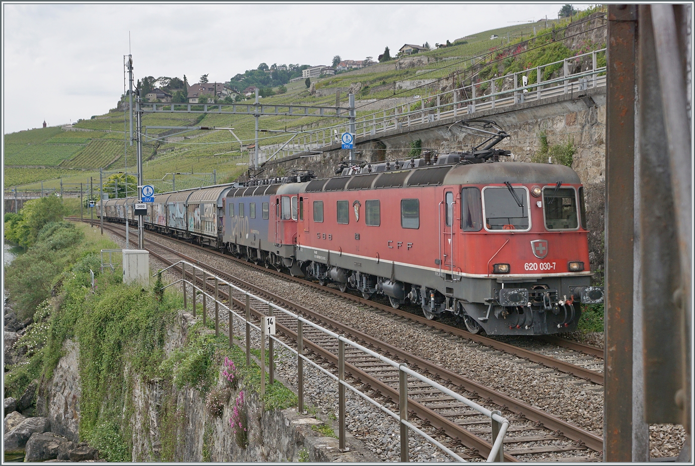 Erneut mit zwei Re 6/6 bespannt ist zwischen Rivaz und St-Saphorin ein SBB Cargo Güterzug in Richtung Wallis unterwegs. An der Zugsspitze führt die rote SBB Re 6/6 11630 (Re 620 91 85 4 620 030-7 CH SBBC)  Herzogenbuchsee den Zug und dahinter hilft die Re 6/6 11624  Rothrist . 

16. Mai 2025
