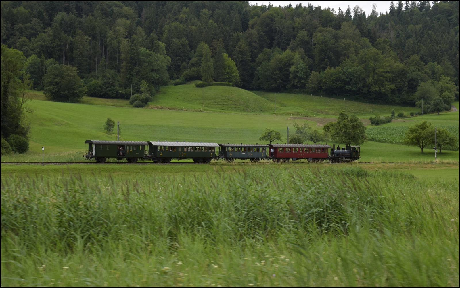 Fahrtag im Zürcher Oberland. 

Ed 3/3 401 der UeBB bei Bussenthal. Juli 2023.