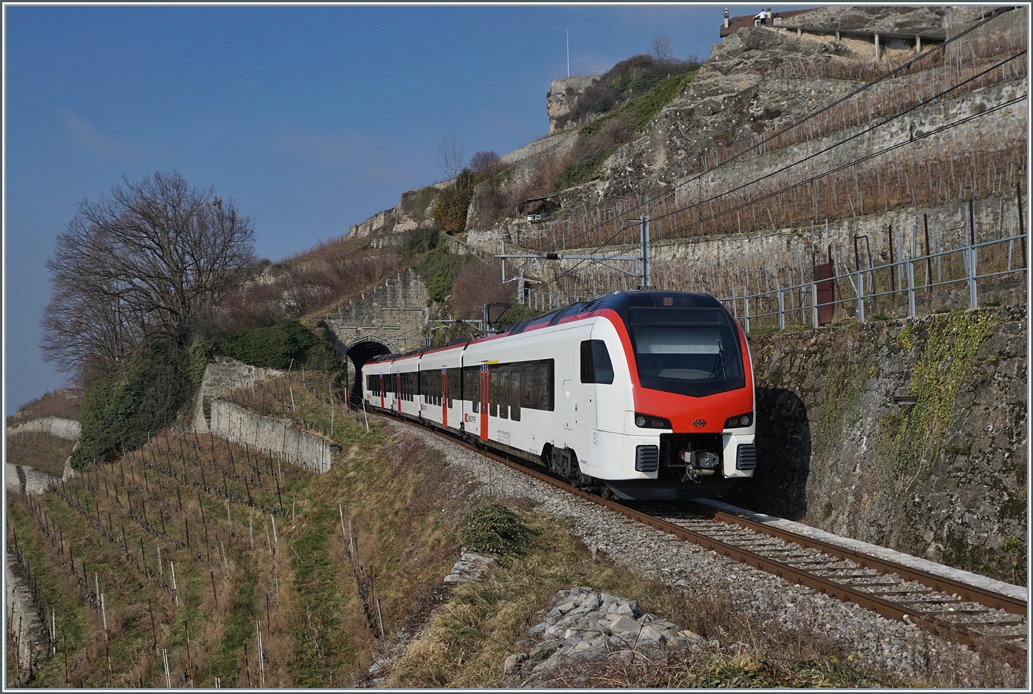  Fernverkehr  auf der Train de Vignes Strecke: der für den Fernverkehr beschaffte SBB Flirt3 RABe 523 503  Mouette  (RABe 94 85 0 523 503-6 CH-SBB) ist als S7 auf der Train de Vignes Strecke zwischen Puidoux und Vevey unterwegs hat soeben den nur 20 Meter langen Salanfe Tunnel oberhalb von St-Saphorin verlassen.

11. Februar 2023