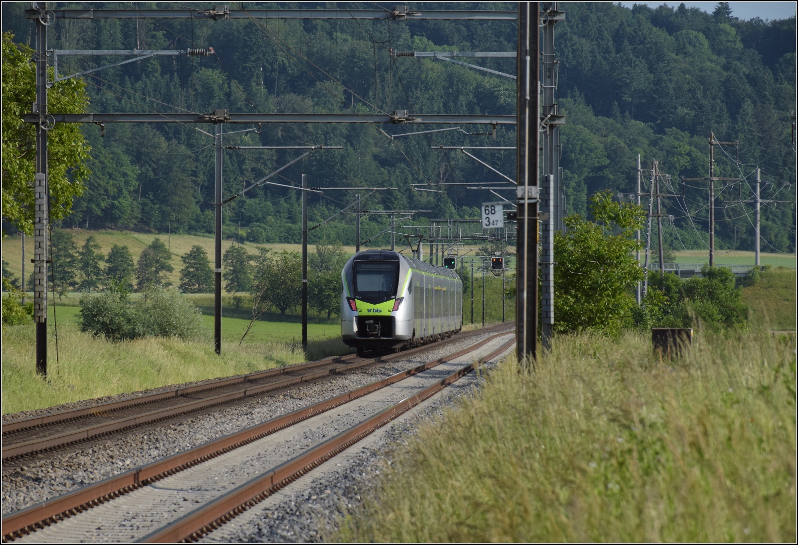 Fernverkehrstag auf der Altstrecke.

Mika RABe 528 109 bei Bollodingen. Juni 2023.