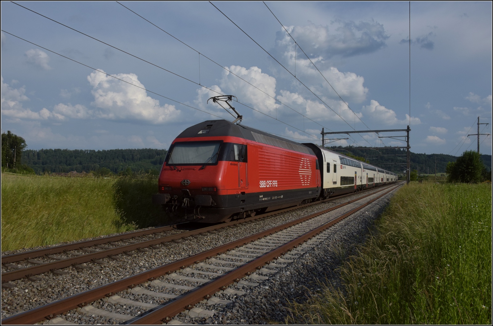 Fernverkehrstag auf der Altstrecke.

Via Burgdorf gibt es zumeist nur noch Güterverkehr, Nahverkehr und überregionale Züge nach Bern. Re 460 110 'Mariaberg' mit einem IC bei Bettenhausen. Juni 2023.