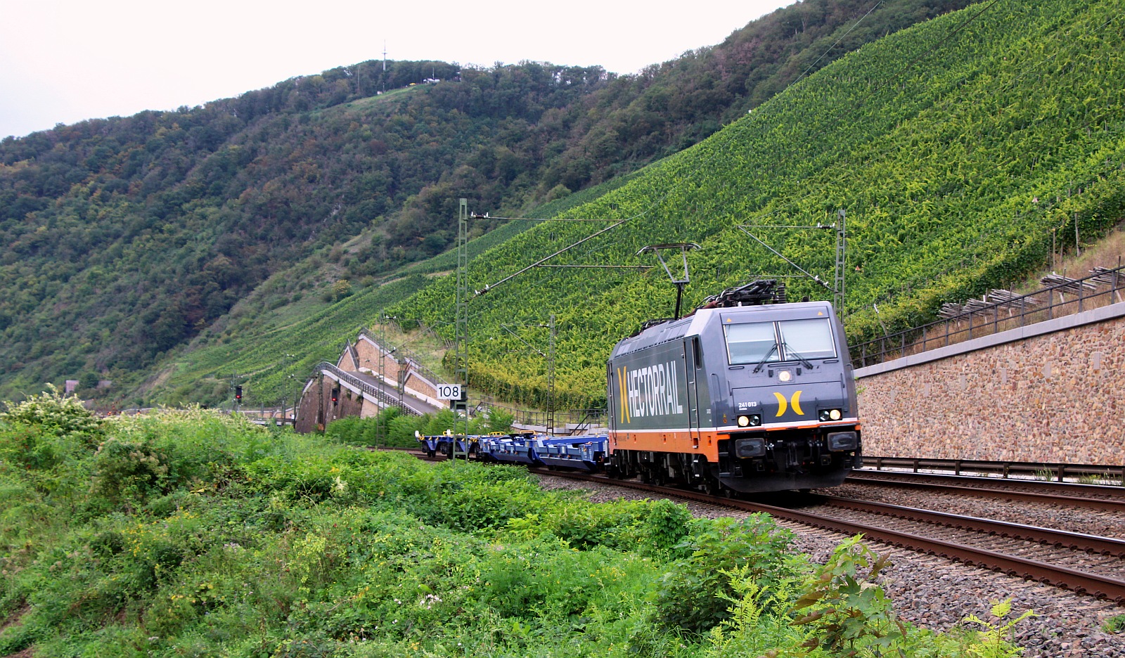 Hectorrail 241.013  Amidala  auch bekannt unter 185 564-2 mit 2 leeren KLV Tragwagen unterwegs am Bopparder Hamm. 13.09.2023 