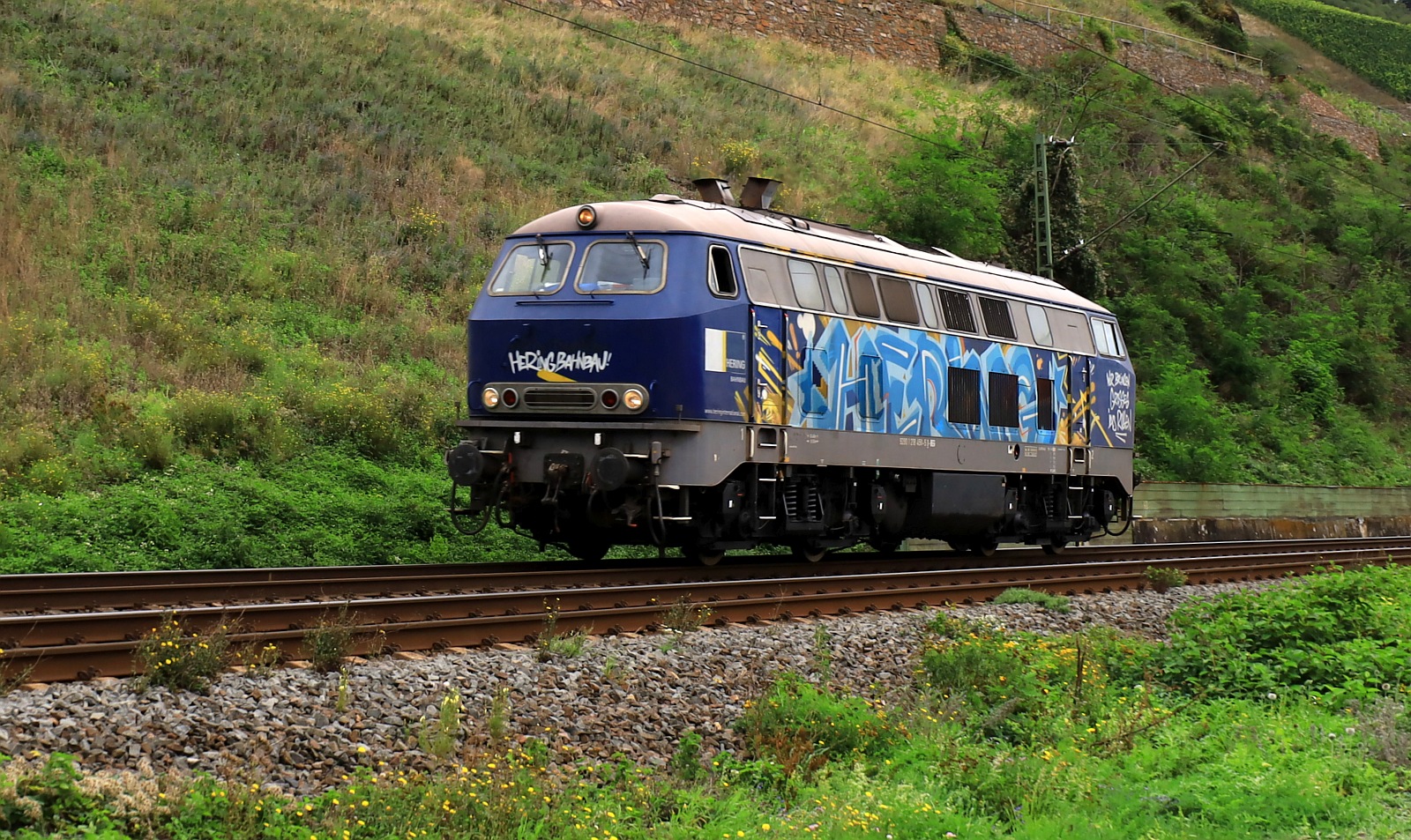 Hering Bau/Brohltal Eisenbahn 218 450-5 könnte hier auf dem Weg zur Revision sein. Bopparder Hamm 13.09.2023