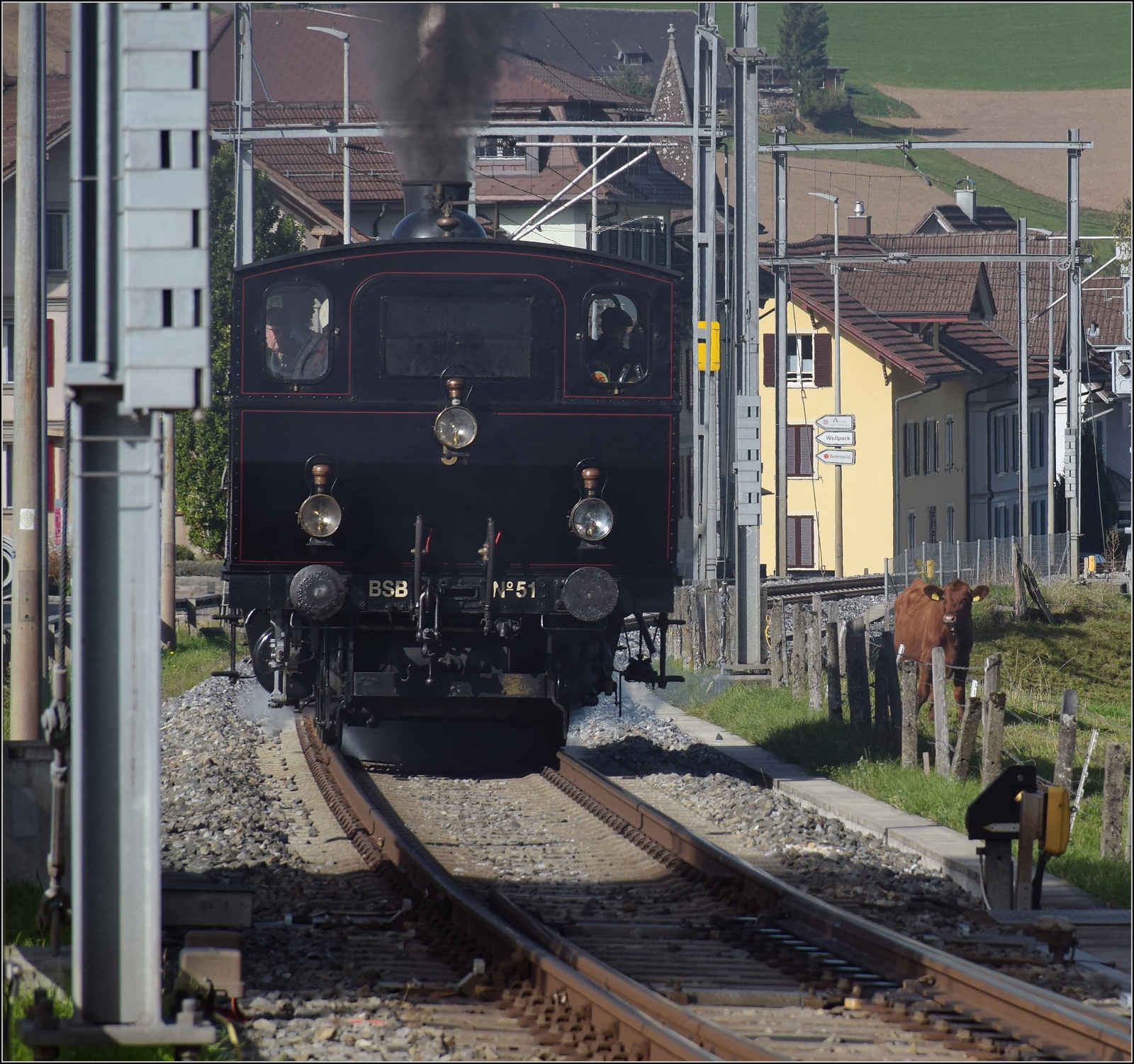 Huttwiler Dampftage. 

Ed 3/4 51 der Bern-Schwarzenburg-Bahn auf Rangierfahrt in Huttwil. Dampflokfans sind offenbar nicht ausschließlich Zweibeiner, wie man bei genauer Betrachtung des Bildes erkennt. Oktober 2023.