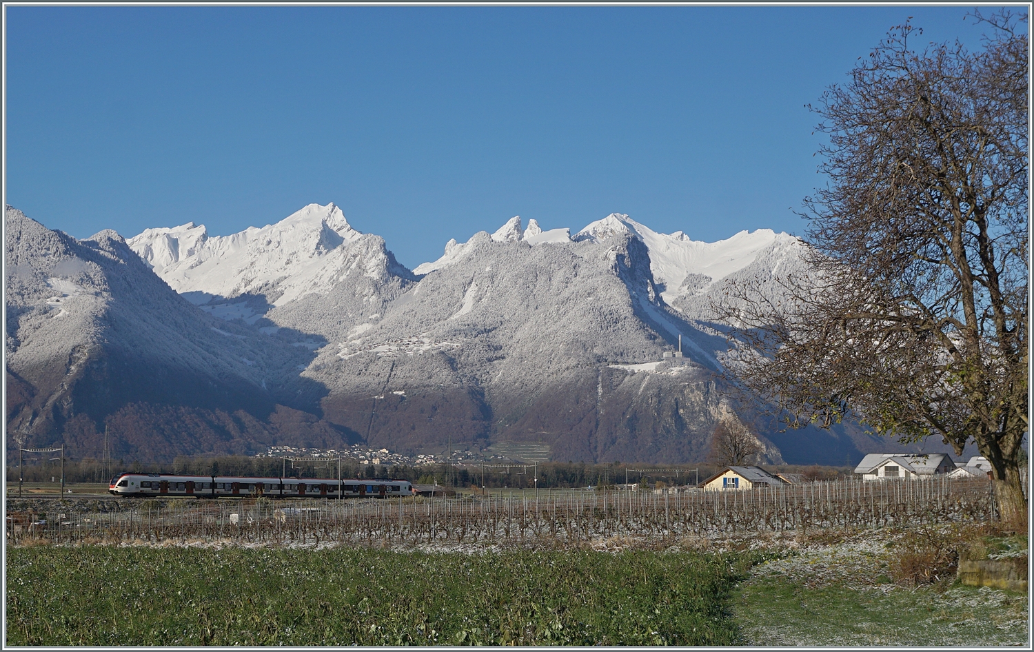 Kurz vor Aigle ist ein SBB RABe 523 auf dem Weg von Le Brassus nach Aigle und zeigt sich vor den verschneiten Walliser Alpen im Chablais.

3. Dez. 2023