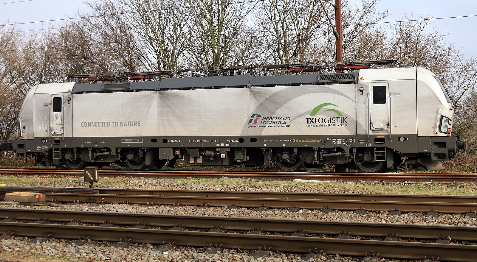 Padborg Südabstellung: TXL 7193 315-7 REV/MMAL/24.01.25 in der Mittagssonne...25.02.2026