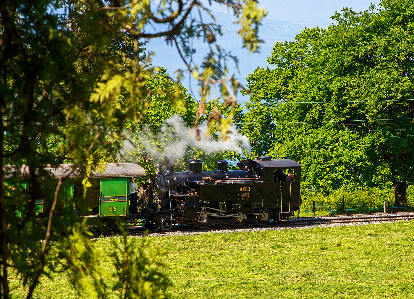 Pfingsten 2023 (Samstag 27. bis Montag 29. Mai 2023) fand bei der Museumsbahn Blonay–Chamby das Schweizer Dampffestival 2023 / Festival suisse de la Vapeur 2023 statt.

Dampflokomotive für gemischten Adhäsions- und Zahnradbetrieb HG 3/4 ex B.F.D. 3 (Brig–Furka–Disentis-Bahn), ex F.O. 3, fährt am 27.05.2023 mit dem Zug der Museumsbahn Blonay-Chamby vom Museum Chaulin nach Blonay hinab. Der Zug (hinter der Lok) bestand aus dem Post- und Gepäckwagen CEG FZ 36, dem 1./2. Klasse Abteilwagen RhB AB 121, dem 3. Klasse Großraumwagen SEG 171 und am Zugschluss der Mallet-Dampflok G 2x2/2 SEG 105  Todtnau .