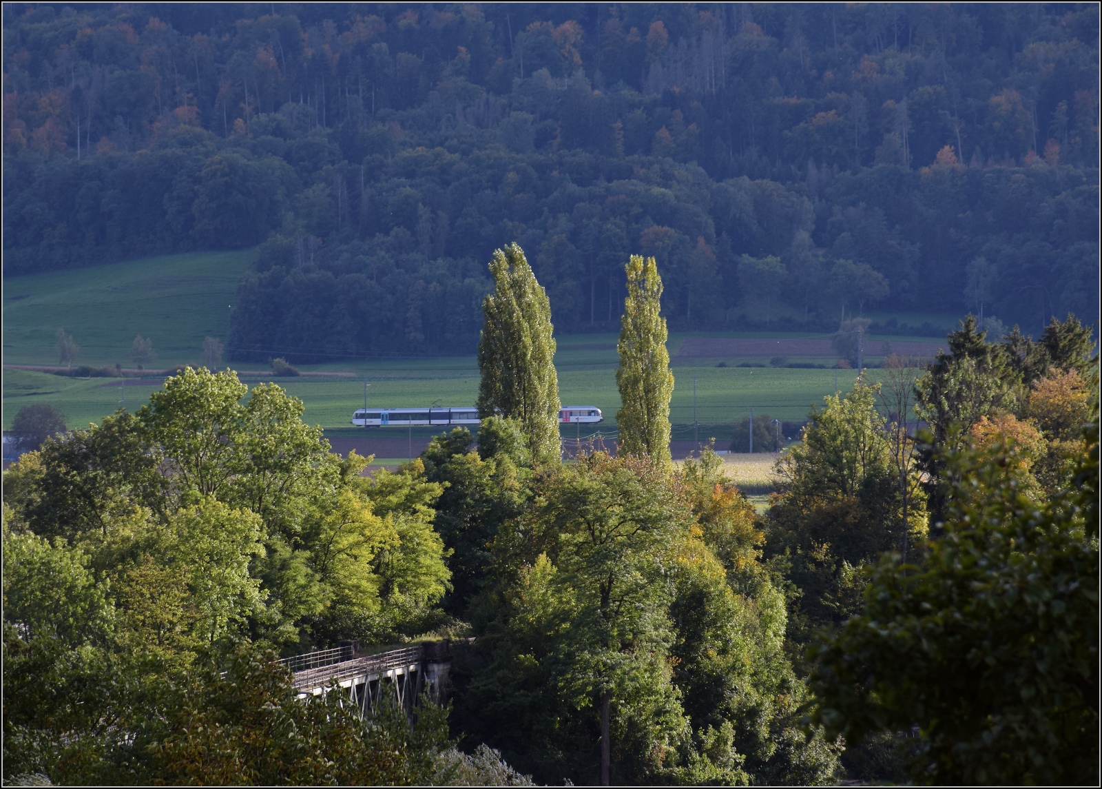 Schienenverkehr am Schienerberg. 

Ein GTW der Thurbo zieht hinter der Rheinbrücke von Hemishofen auf der Seelinie vorbei. Die Seelinie besteht aus vier geschichtlich verschiedenen Teilen. Dabei gabelte sich die Linie von Winterthur in Etzwilen weiter nach Singen und Kreuzlingen (Hafen). Die Strecken wurden seinerzeit am gleichen Tag von der Schweizer Nationalbahn eröffnet. Oktober 2022.