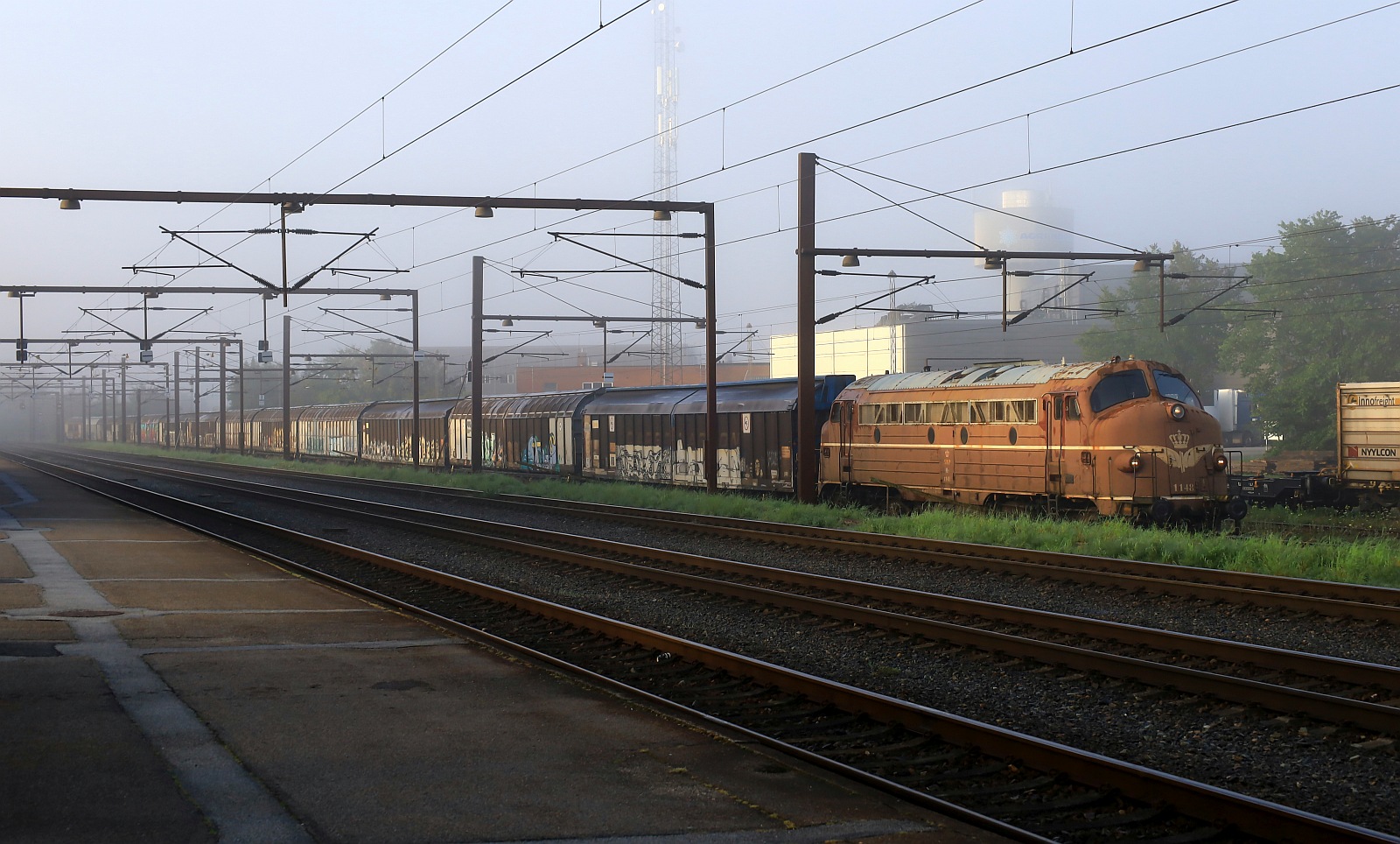 SRS/NEG Litra MY 1148 kurz vor der Abfahrt mit einem Schiebewandwagenzug. Pattburg/DK 21.08.2023