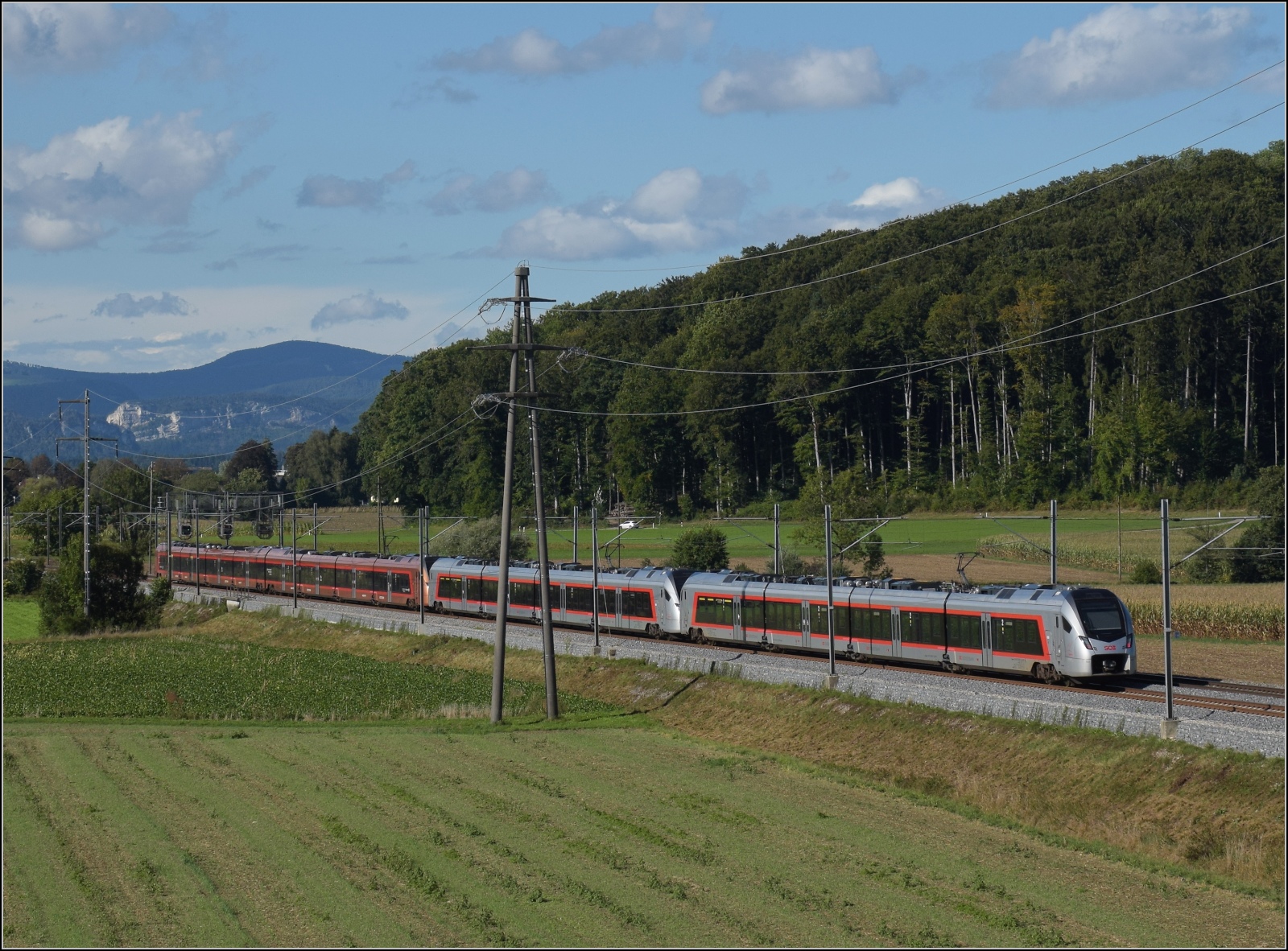 Traverso RABe 526 113, RABe 526 001 'Bachtel' und RABe 526 002 'Calanda' unterwegs Richtung Olten. An der Önz bei Bettenhausen, September 2022.
