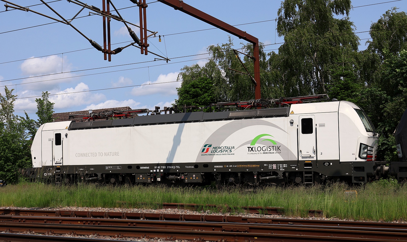 TXL 7193 319-9 REV/MMAL/20.12.24 abgestellt in Pattburg/DK 09.06.2025
