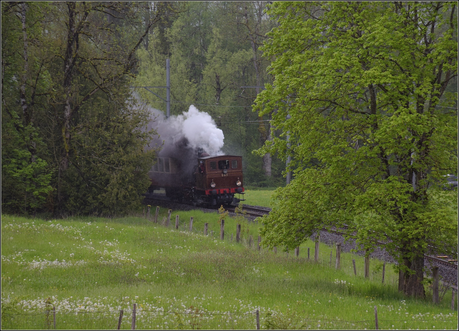 Vapeur Val-de-Travers: Train  Au fil de l'Areuse .

E 3/3 8511 umfährt das Landhaus Le Marais zwischen Môtiers und Couvet. Mai 2023.