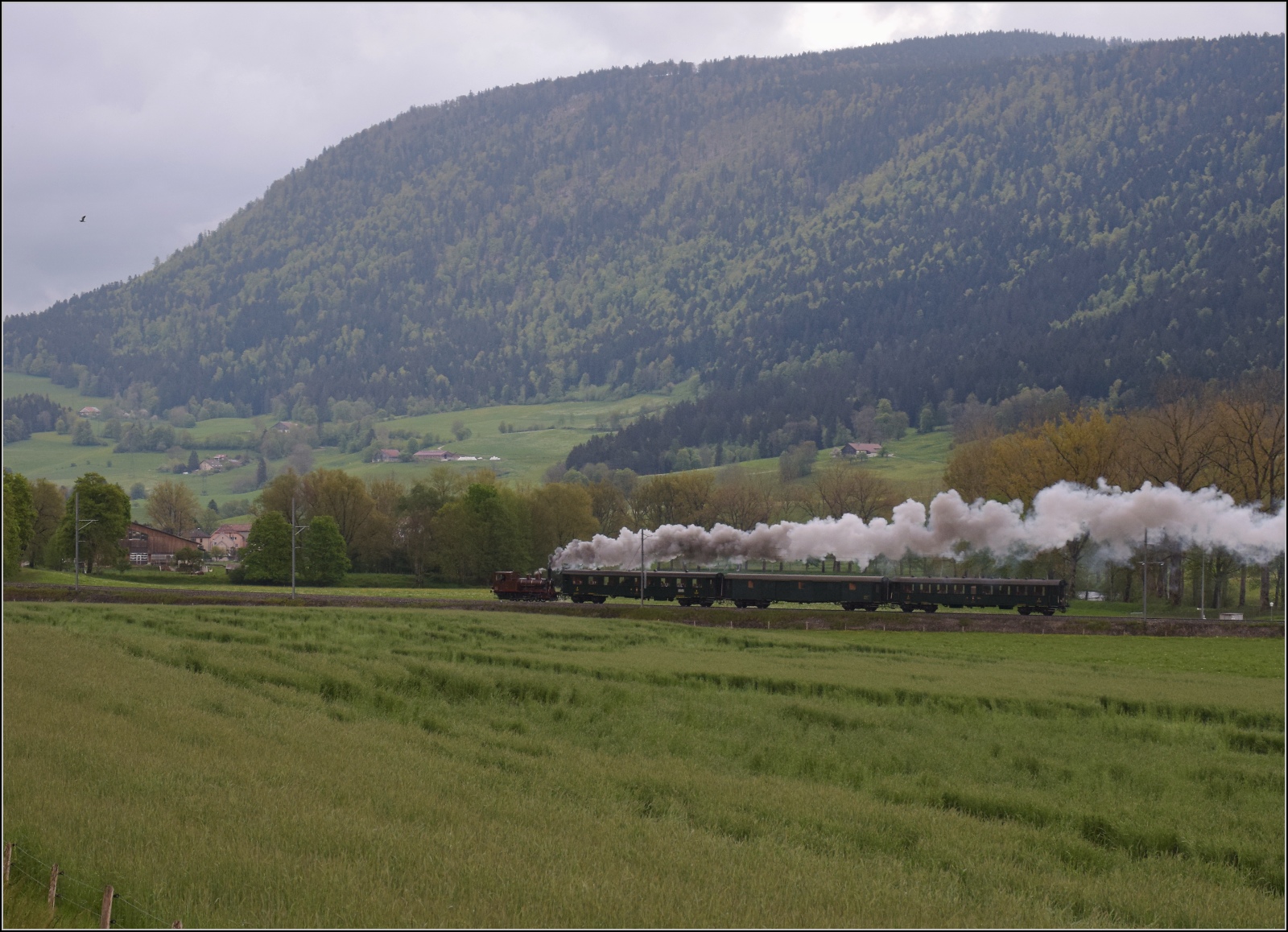 Vapeur Val-de-Travers: Train du Terroir.

E 3/3 8511 mit ihrem Zug in der Steigung von La Presta nach Travers. Der Bergrcken im Hintergrund ist eigentlich der 1464 m hohe Soliat, dessen hchster Punkt sich ein wenig auf der Hochebene versteckt. Mai 2023.